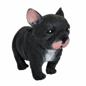 Dogs